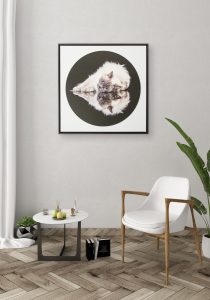 Float frame canvas wall art showing cat 