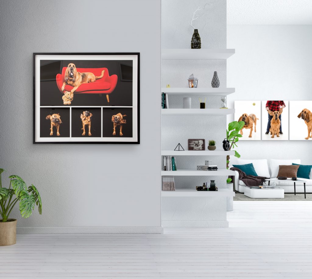 black modern frame in entry with gallery in BG