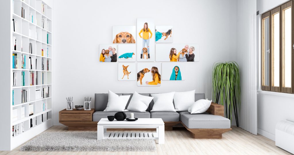 Living room with bookshelf and compilation of 9 images hanging above couch.f