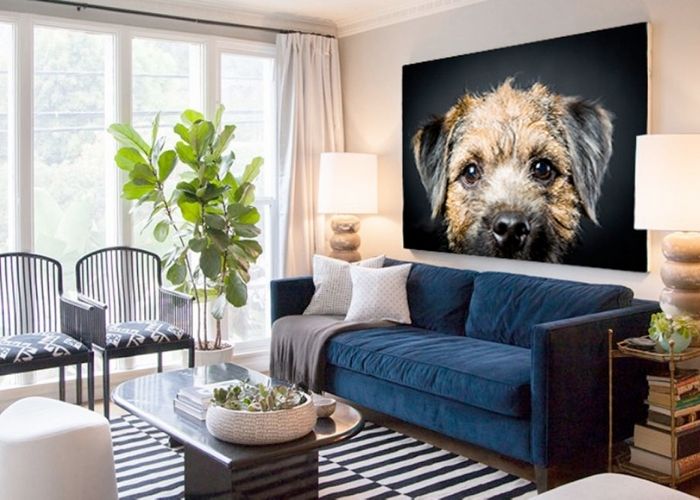 Create Customised Art with Melbourne Pet Photography