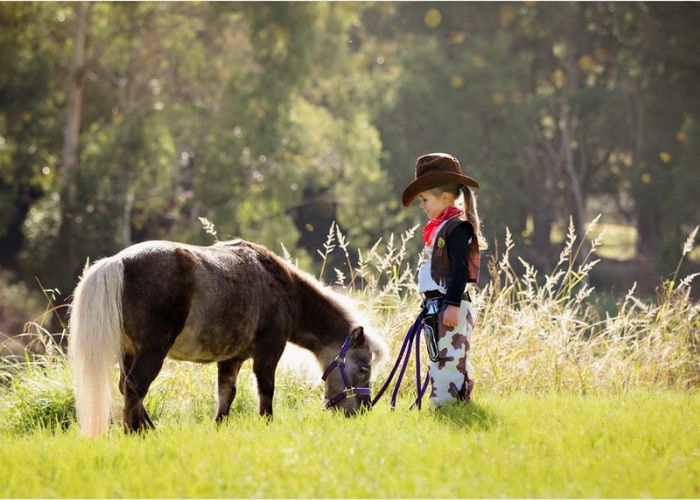 Outdoor Pet Photography Melbourne