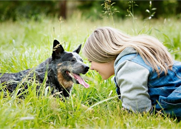 Pet Portraits Melbourne