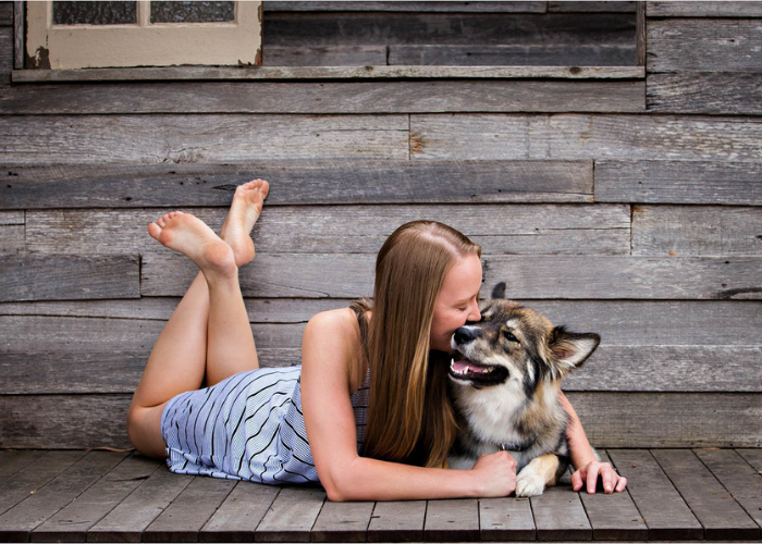 Pet portraits in Melbourne